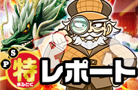 マル特レポート